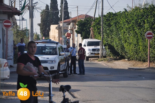 ta3n ludj31 (19).JPG